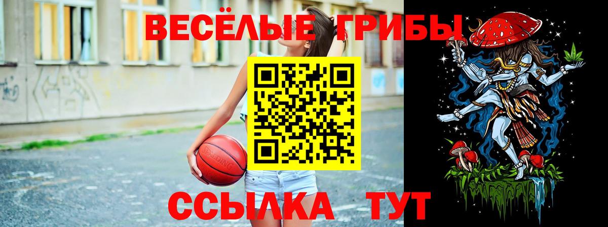 Псилоцибиновые грибы GOLDEN TEACHER Кропоткин