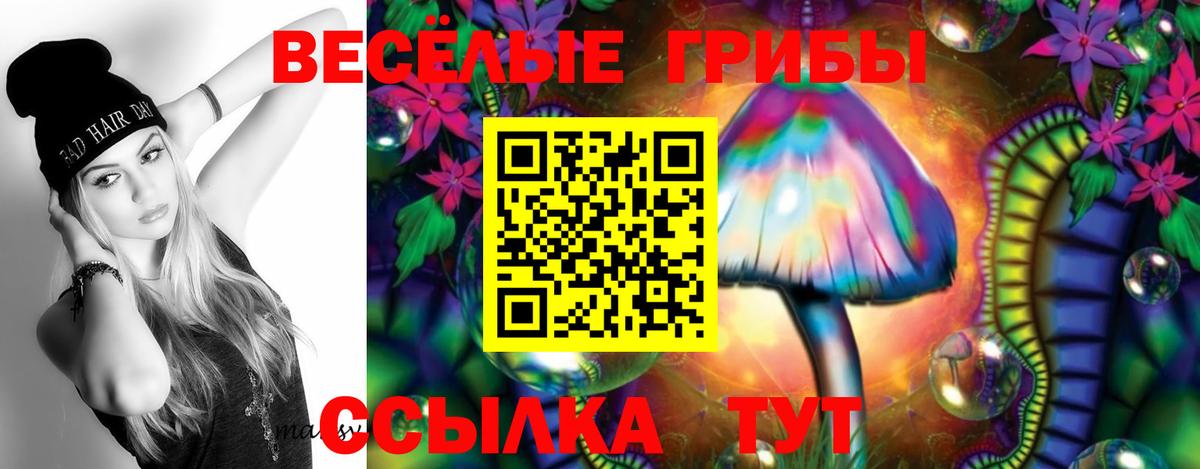 Кропоткин  Галлюциногенные грибы Psilocybine cubensis  Псилоцибиновые грибы ЛСД  Вход с VPN 